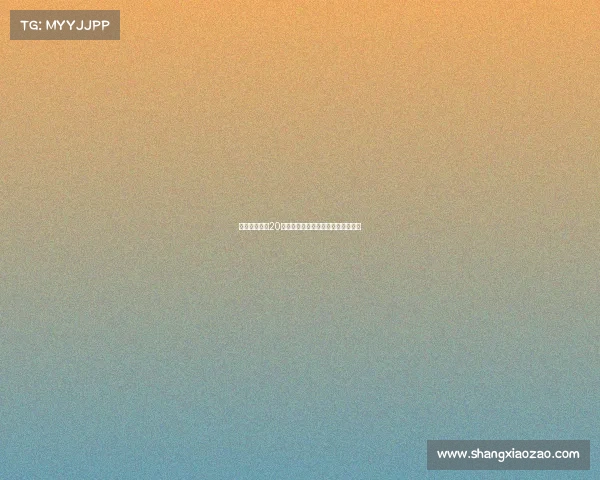 费内巴切与恰20经纪人会面达成协议后将向国米报价 费内巴切与恰20经纪人会面达成协议后将向国米报价