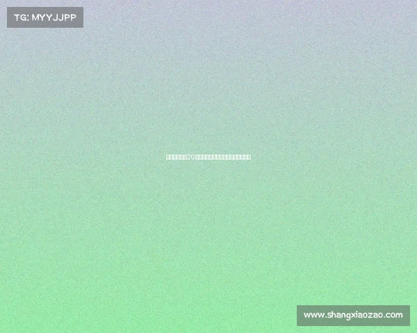 费内巴切与恰20经纪人会面达成协议后将向国米报价 费内巴切与恰20经纪人会面达成协议后将向国米报价